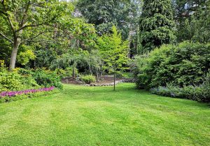 Optimiser l'expérience du jardin à Le Boulay-Morin